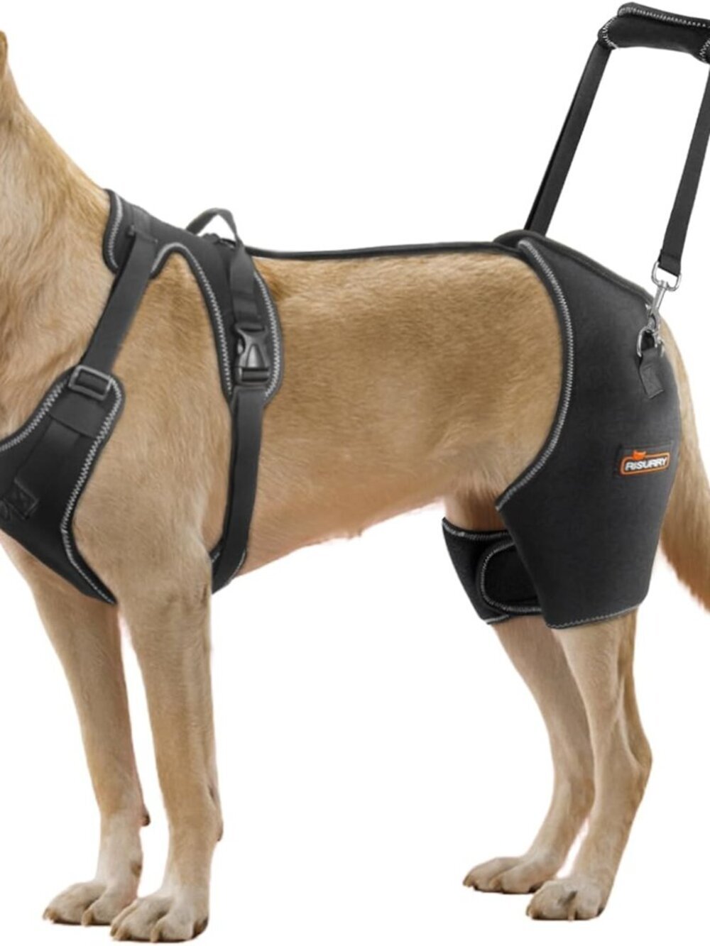 CHAMIN Dog Hip Brace with Back Handheld Design